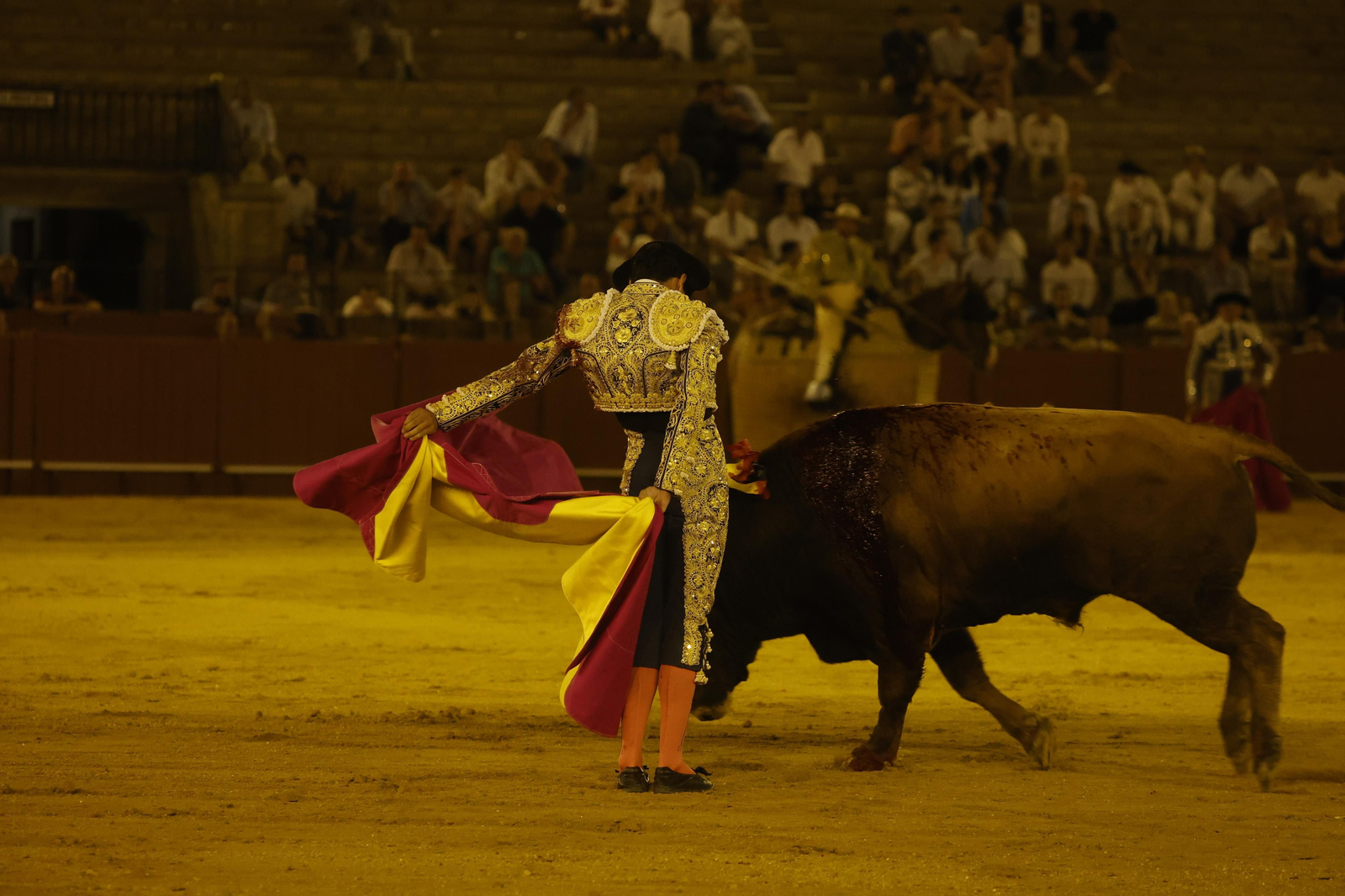 Las imágenes de la novillada en la Maestranza
