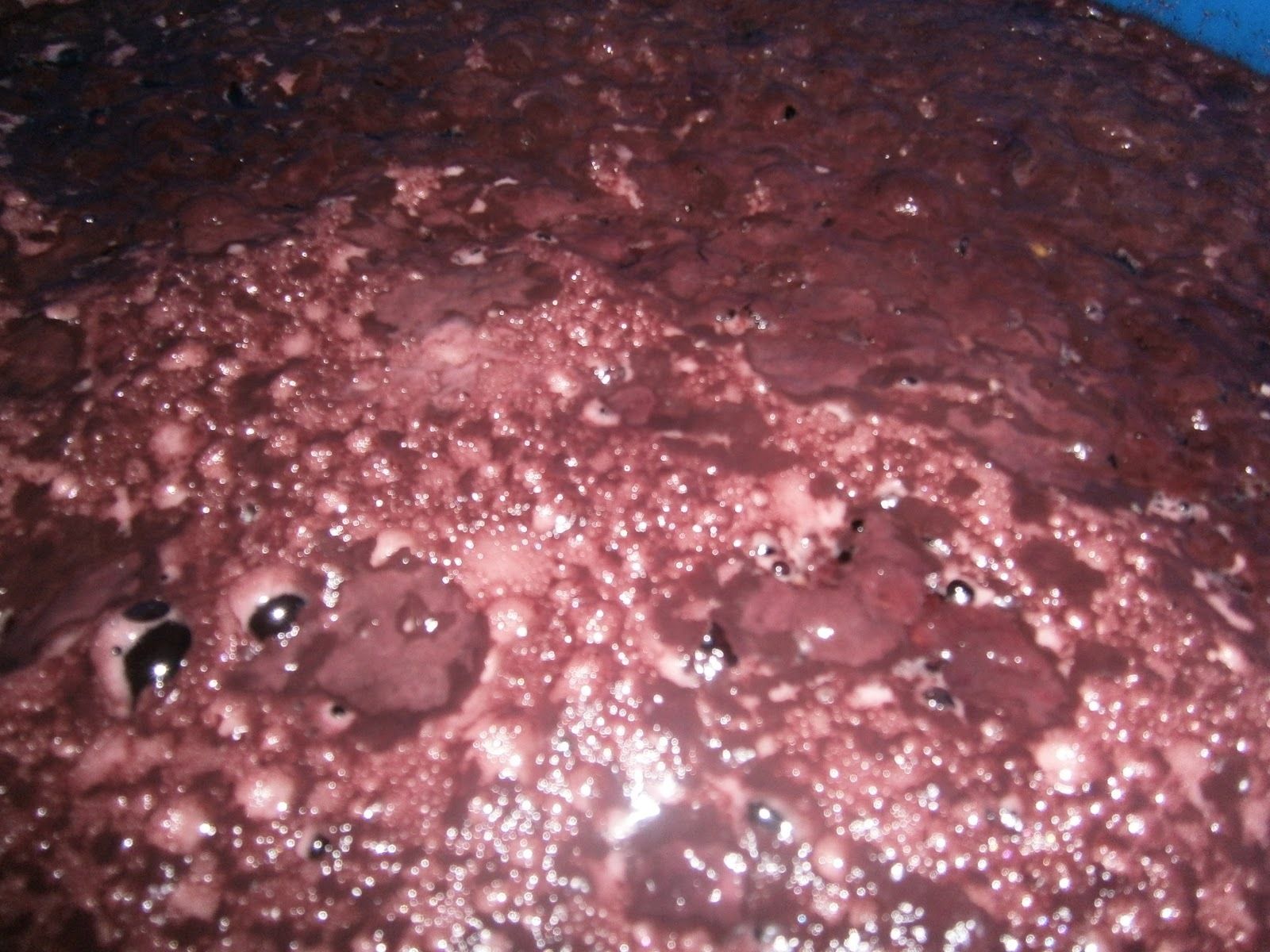 La evolución fermentativa del mosto es un proceso exotérmico en el que no está presente la cocción.