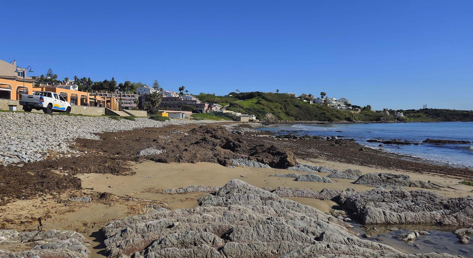 Imágenes del manto de alga parda en la playa de Getares