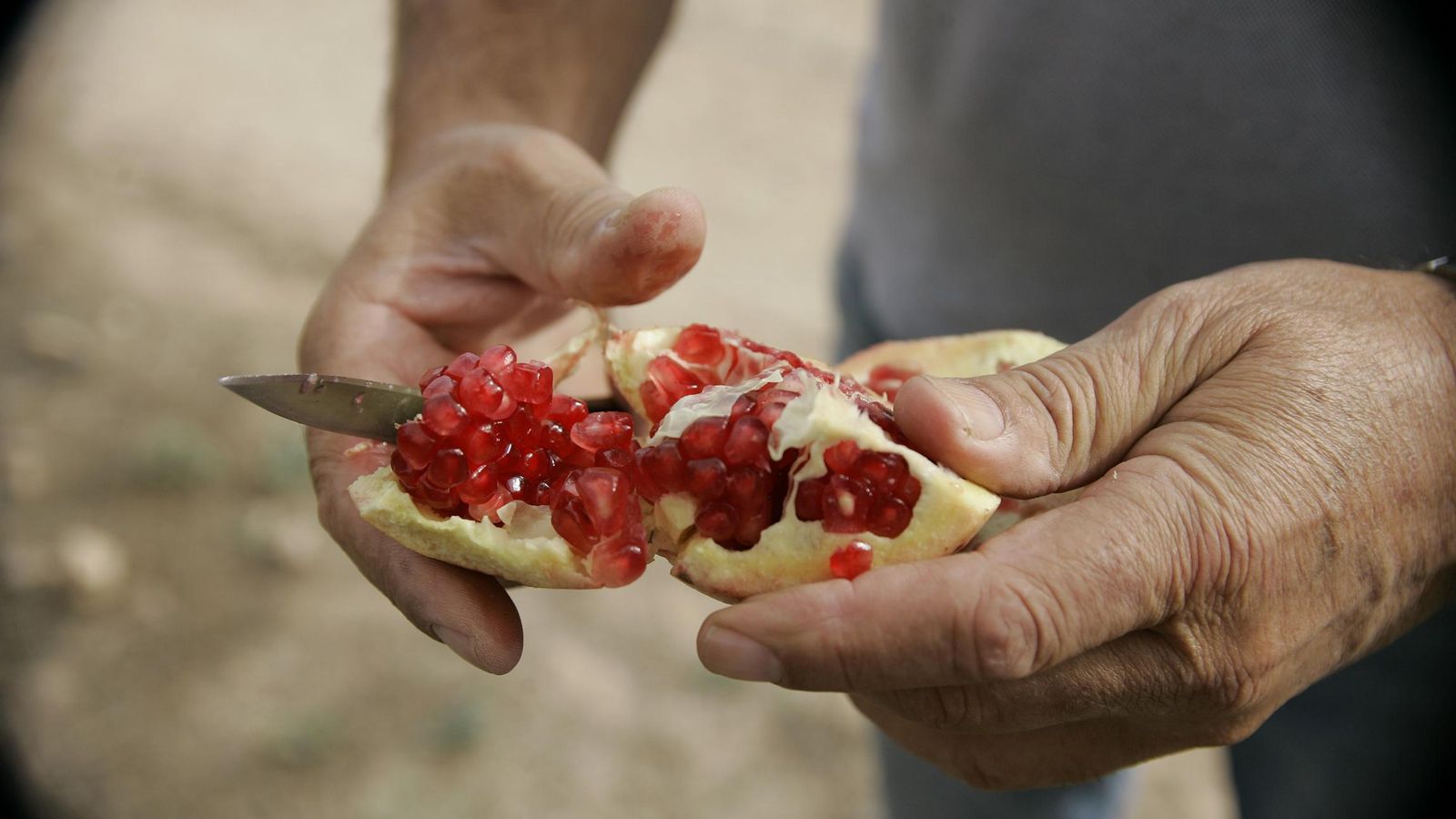 Granos rojos, gordos y muy sabrosos.