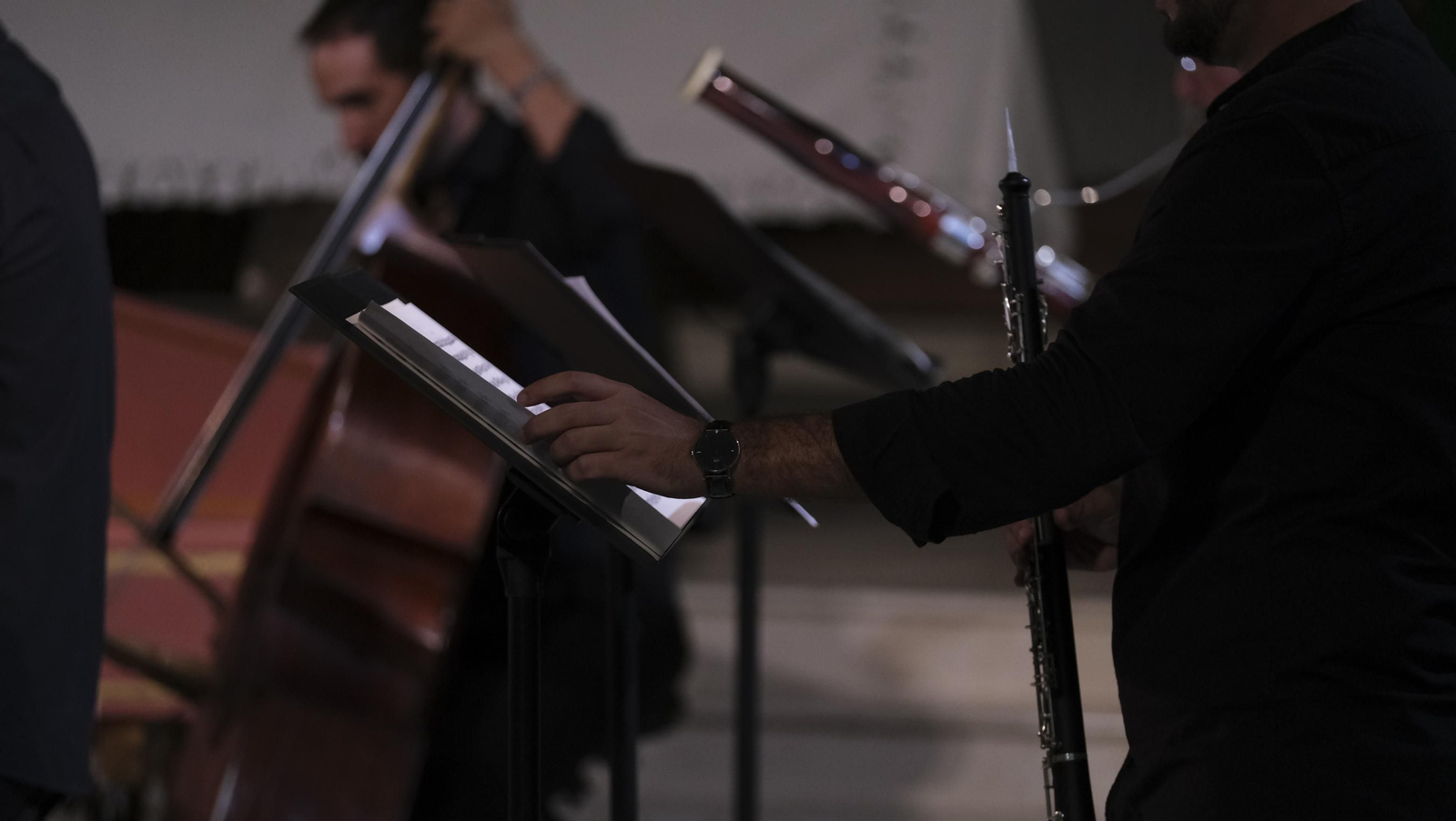 Imágenes del concierto de la OCAL en el Festival de Música Renacentista y Barroca de Vélez Blanco-Festimuvb