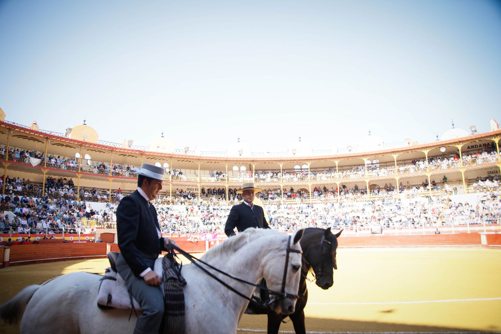 Imágenes del festival mixto lucha contra el cáncer