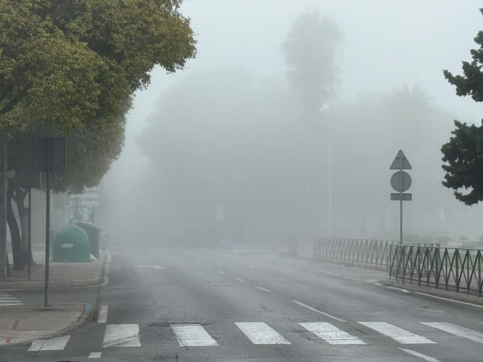 La densa niebla cubre la Avenida de Europa, en Jerez