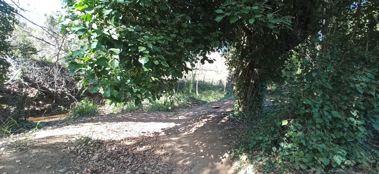 Las imágenes de la ruta de la cascada de Jollarancos y bosque de las letras