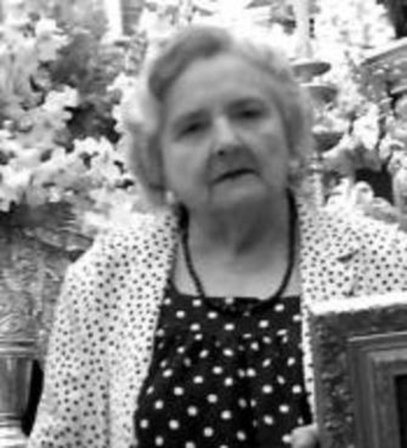 María Dolores Morgado.