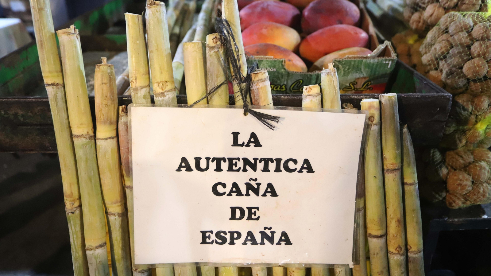 Fotos de la festividad de Tosantos en Algeciras