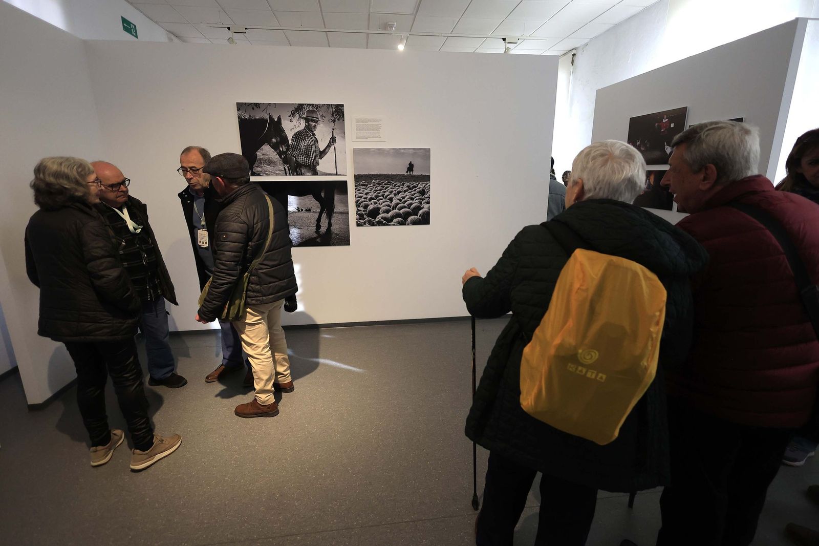 Fotos de la exposición 'Yerba, el corazón verde de la transhumancia' de Katy Muñoz