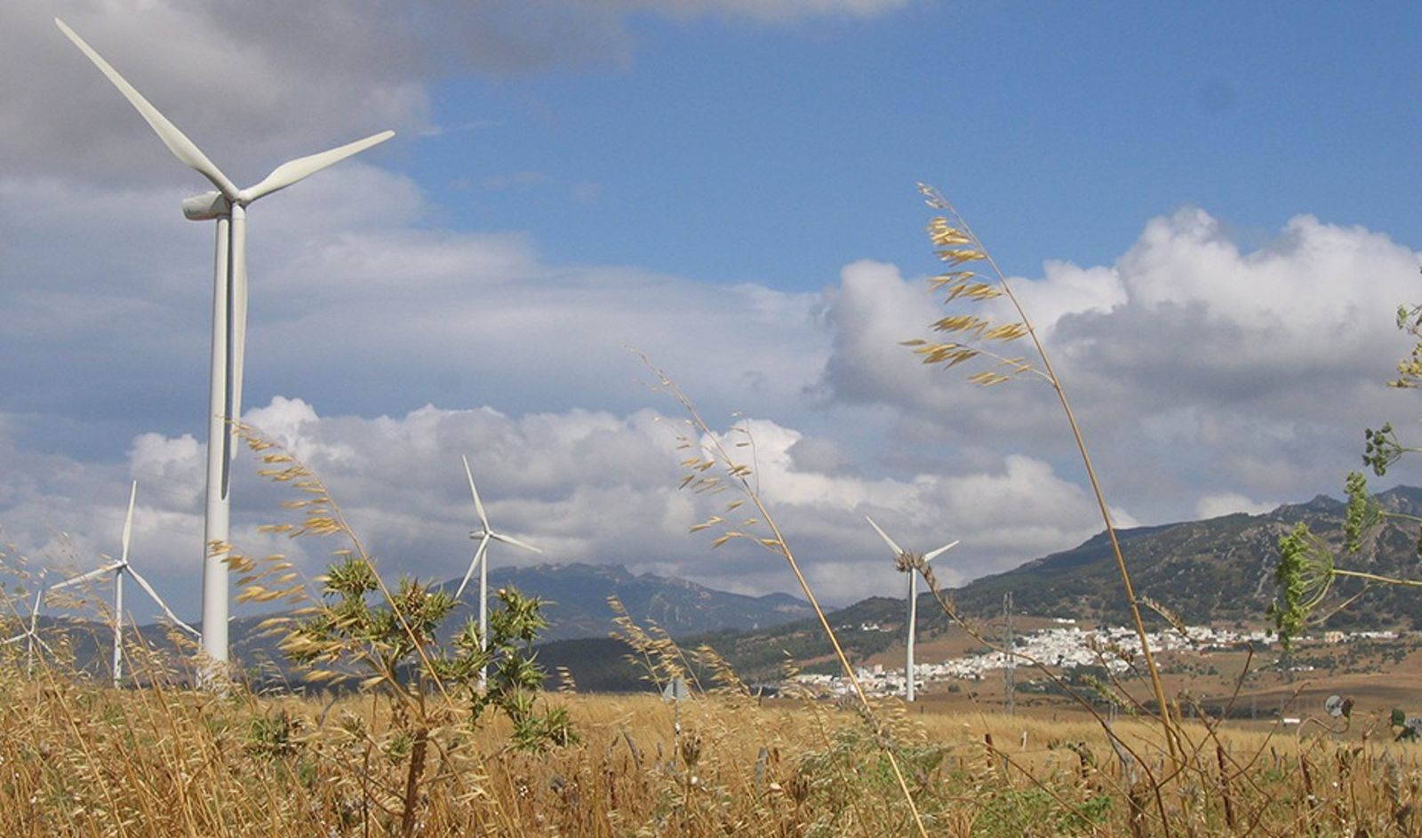 Molinos de viento en un parque éolico.