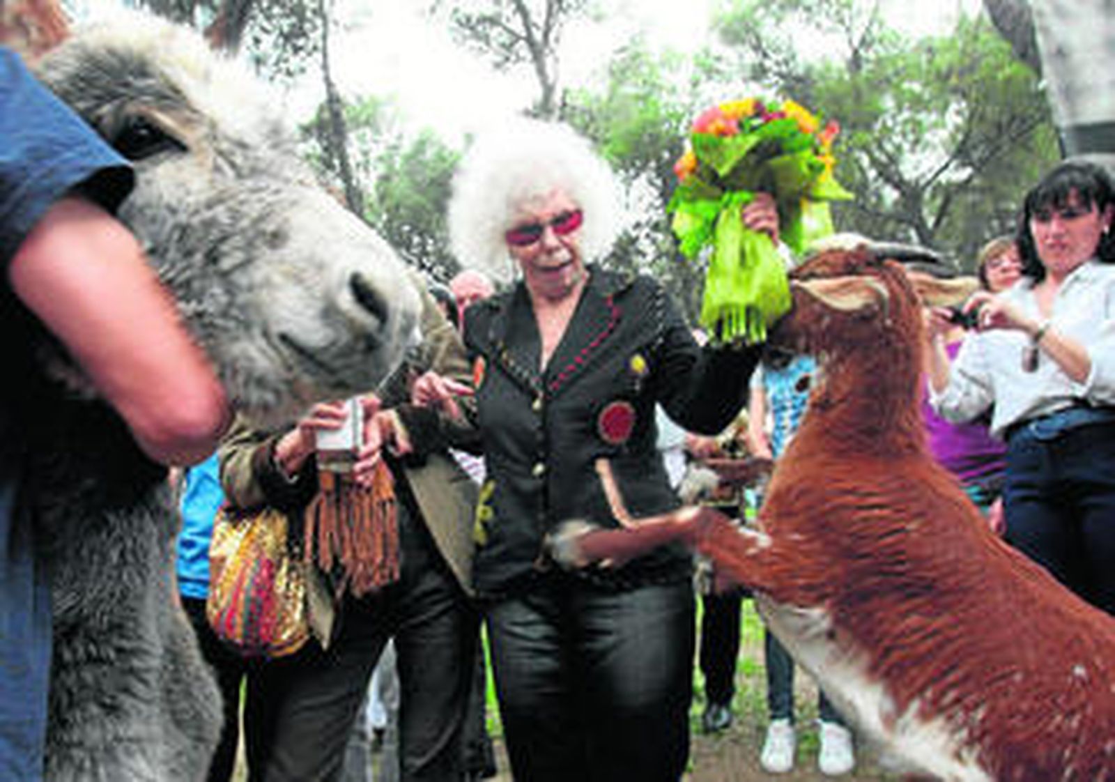 Doña Cayetana esquiva los envites de una cabra que quería comerse su ramo de flores.
