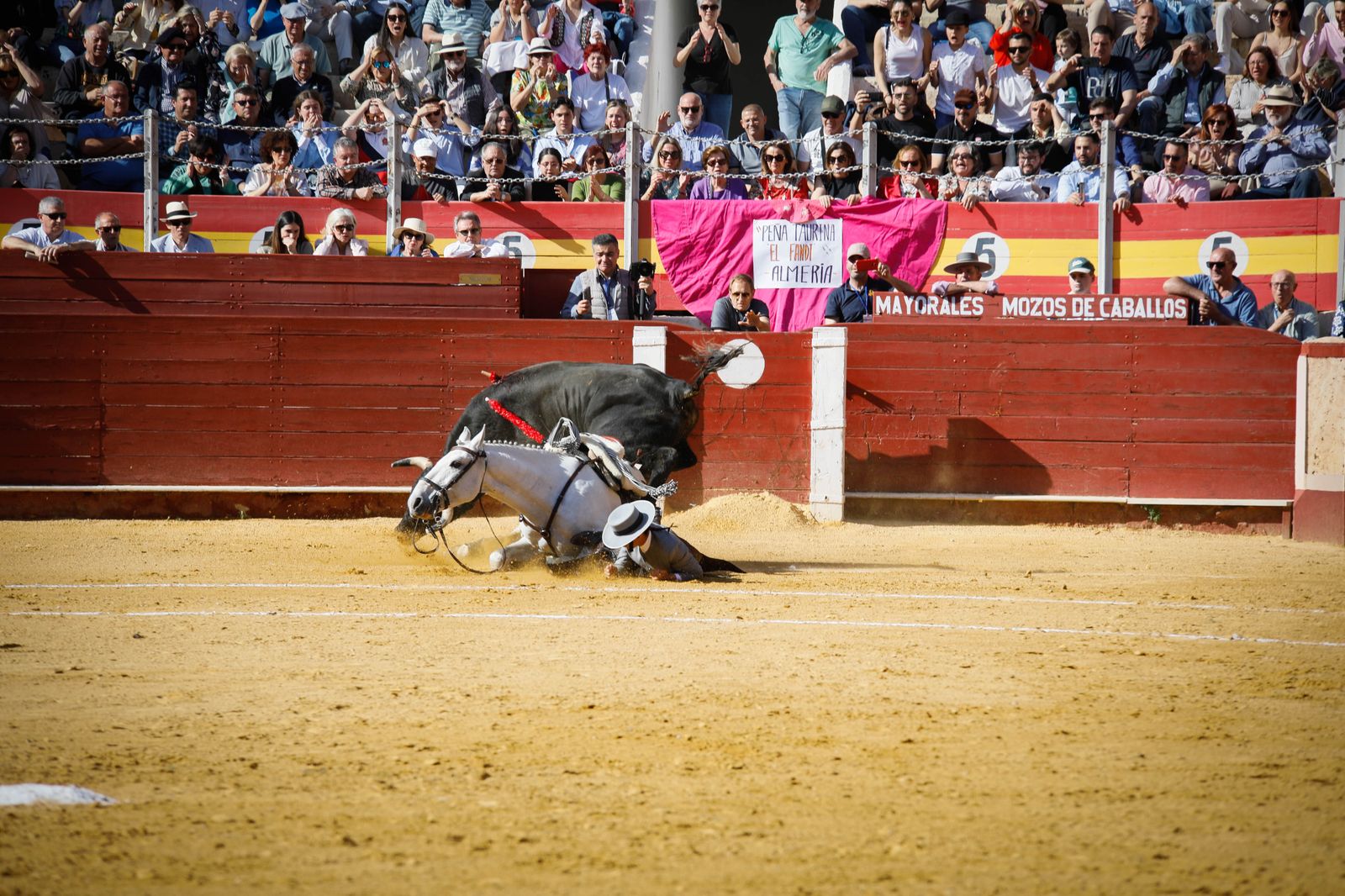 Imágenes del festival mixto lucha contra el cáncer