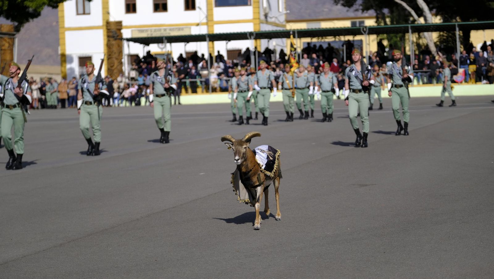 Conmemoración del Combate de Edchera en la Base Álvarez de Sotomayor de La Legión, en imágenes