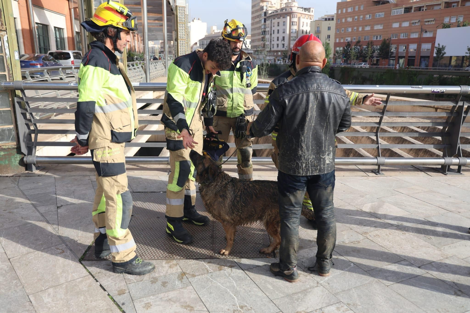 Bomberos junto con el hombre y el perro que han quedado atrapados en el Guadalmedina. Bomberos junto con el hombre y el perro que han quedado atrapados en el Guadalmedina.