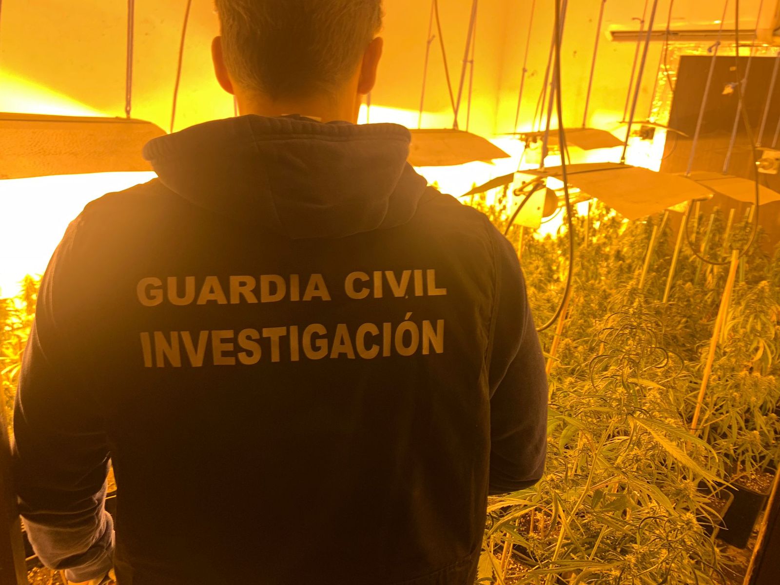 Un agente de la Guardia Civil en una de las plantaciones de Granada