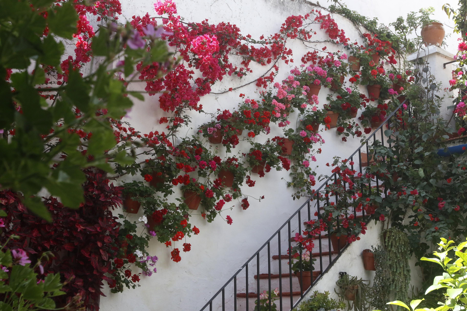 Ruta Santiago - San Pedro de los Patios de Córdoba, en imágenes