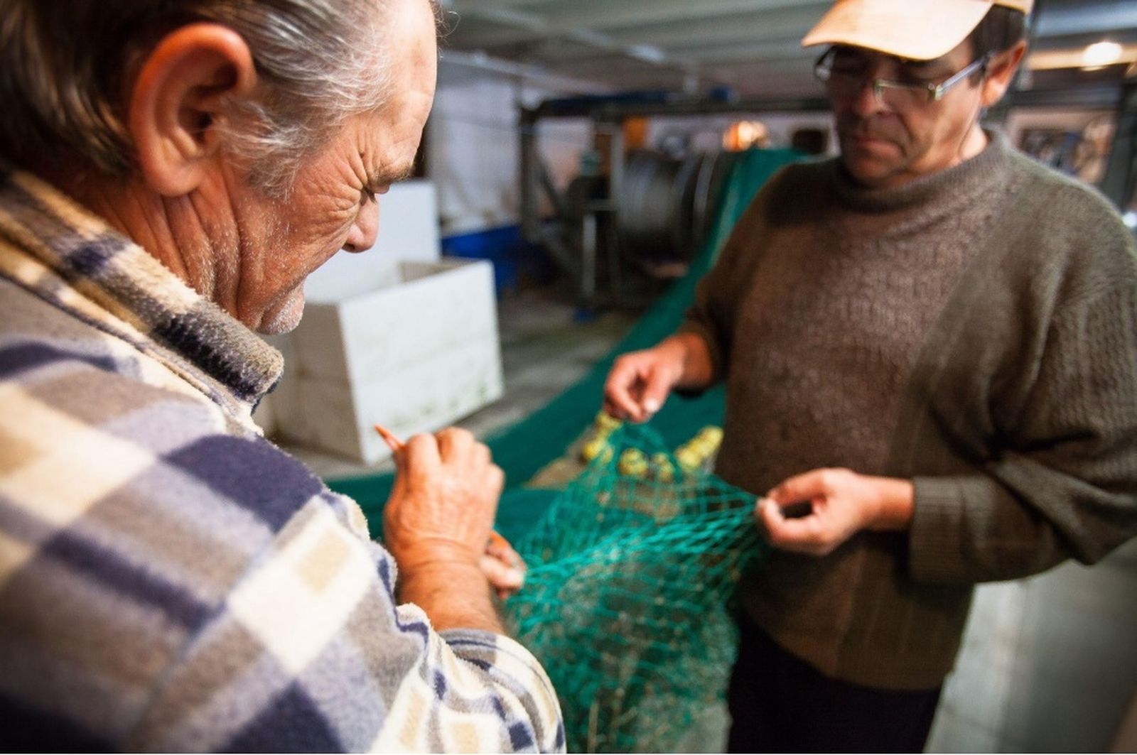 Los pescadores almerienses están afectados por la nueva normativa sobre la longitud del copo de los artes de arrastre.