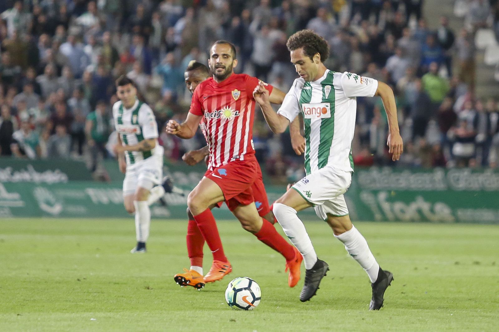 Las imágenes del Córdoba-Almería