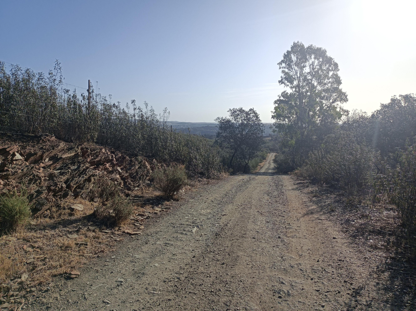 Fotos de la ruta de Los Brezales-Umbría de Santa Fe en el Ronquillo