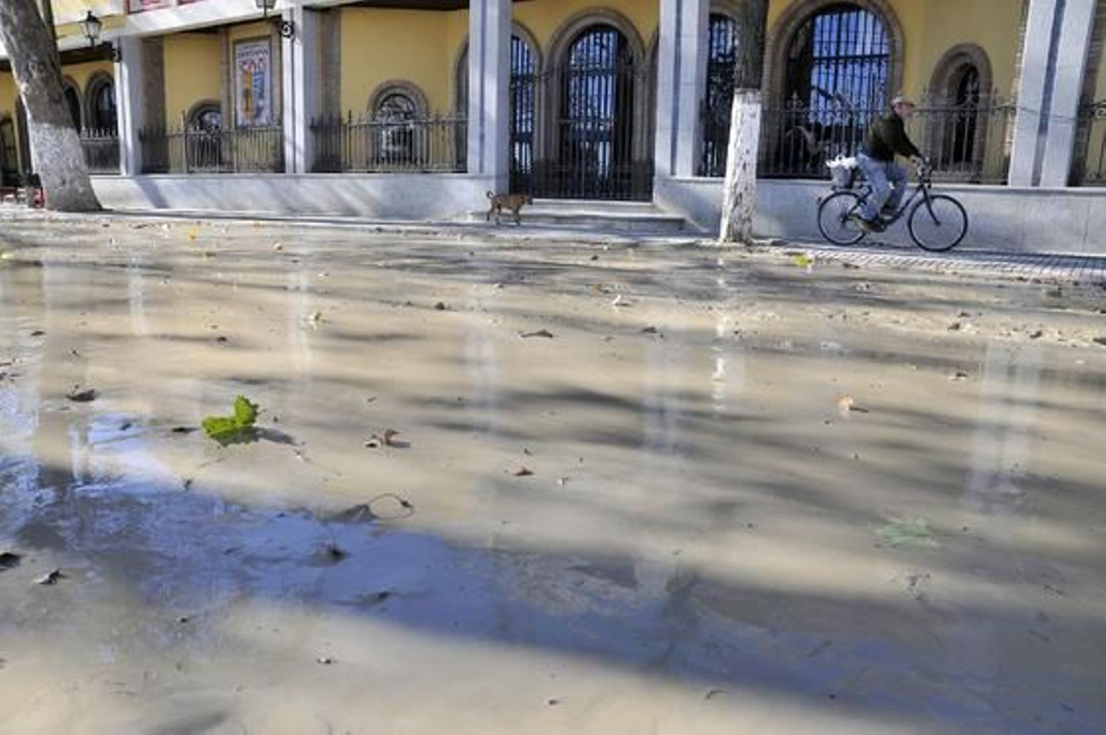 Los vecinos de Lora se afanan en limpiar tras las intensas lluvias.

Foto: Juan Carlos Vázquez