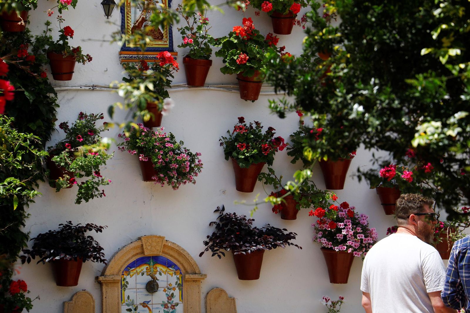 Un recorrido en imágenes por los patios de la ruta Regina-Realejo