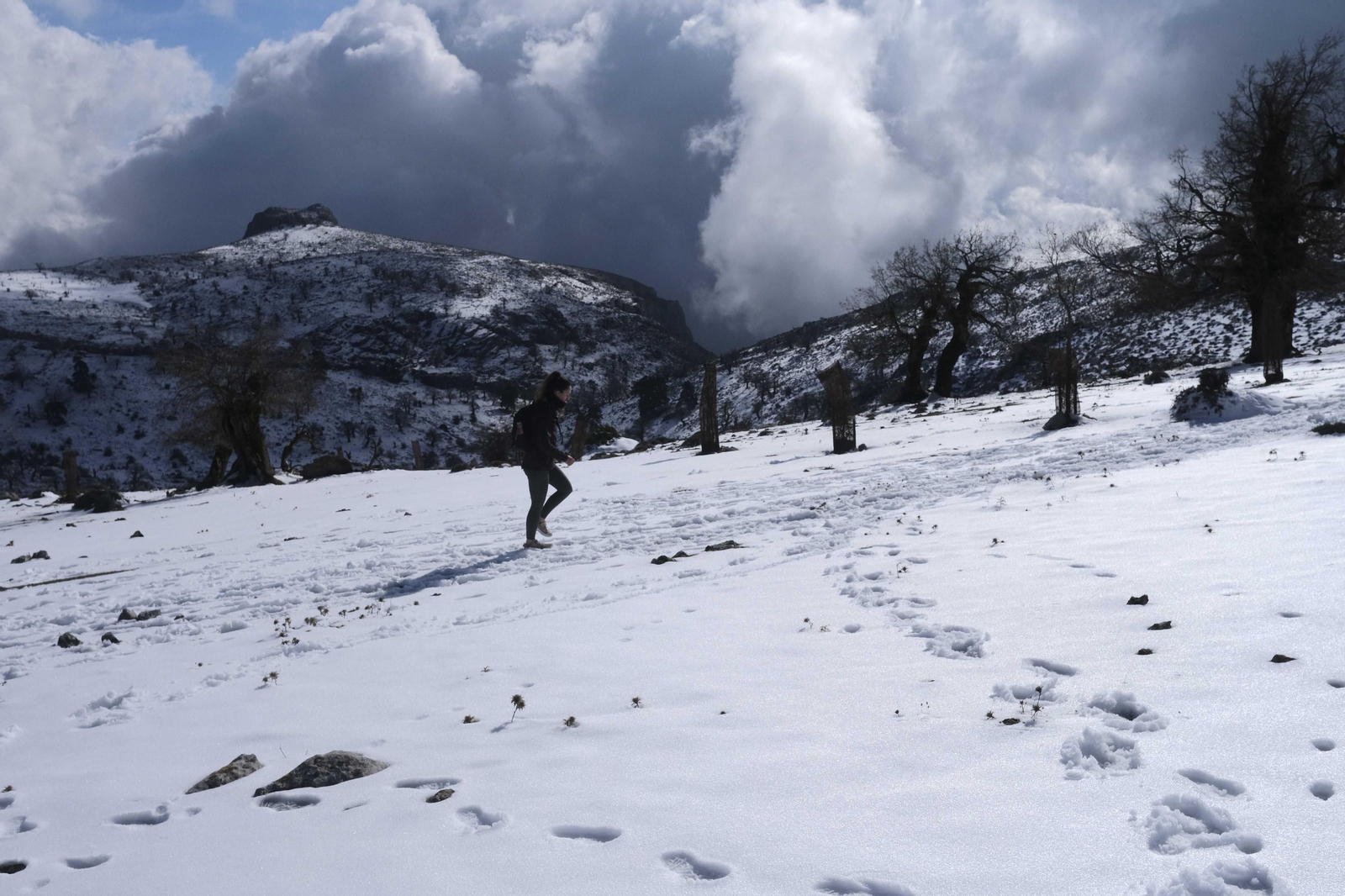 El blanco viste el Parque Nacional de la Sierra de las Nieves. El blanco viste el Parque Nacional de la Sierra de las Nieves.