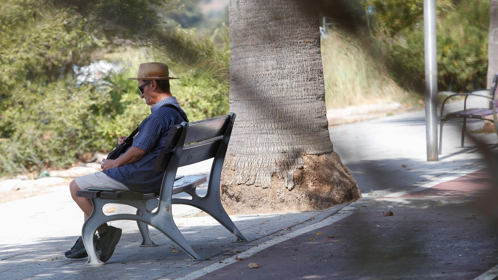 Fotos de una mañana de verano en Palmones