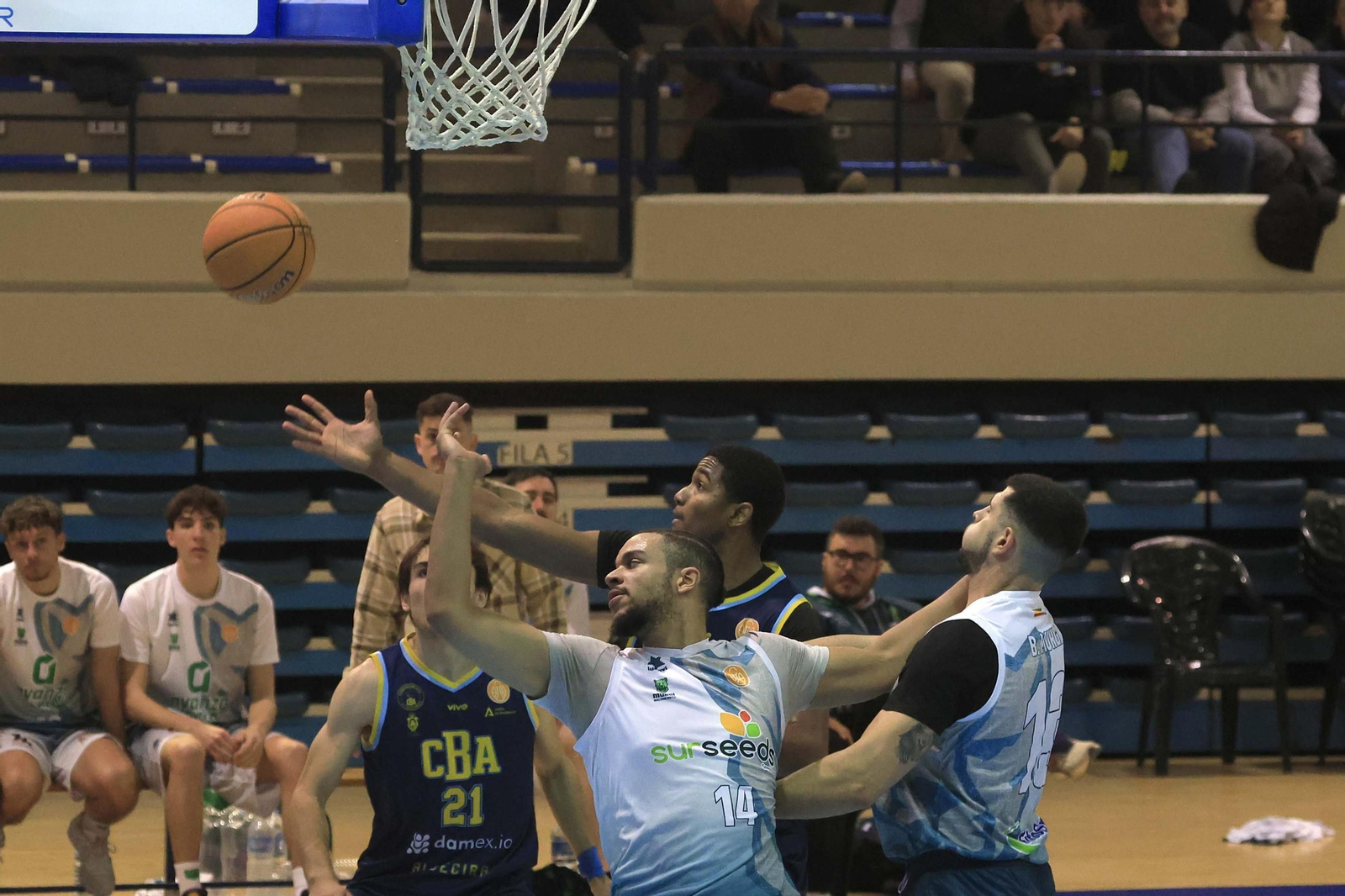 as fotos del Club Baloncesto Algeciras - Murgi de la Tercera FEB