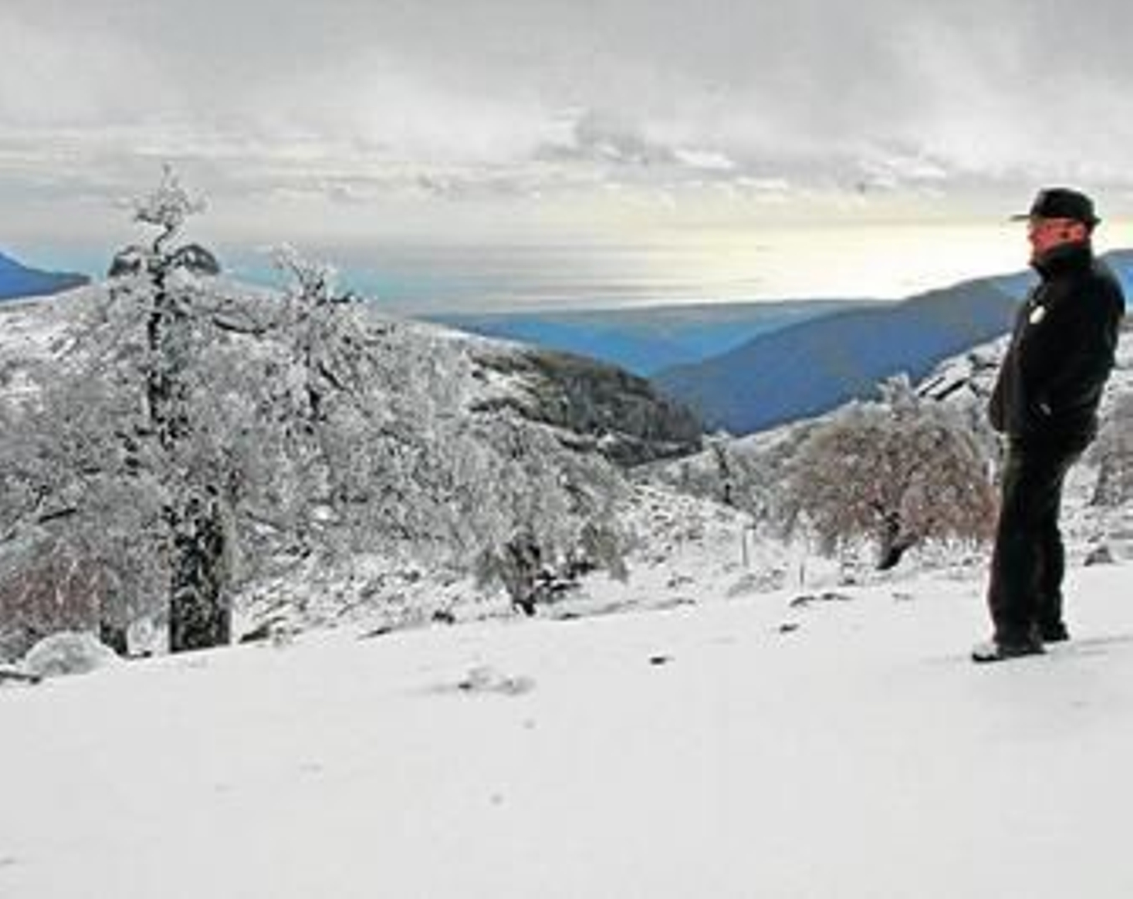 Uno de los agentes de Medio Ambiente, en la Sierra de las Nieves. Uno de los agentes de Medio Ambiente, en la Sierra de las Nieves.