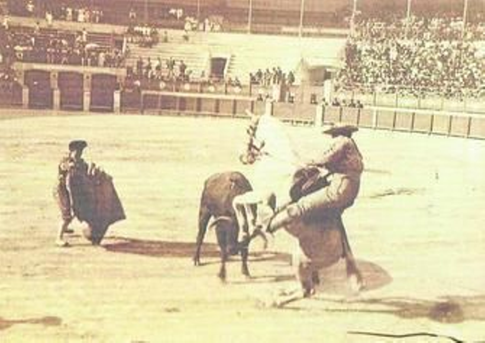 Trágico final de un varilarguero