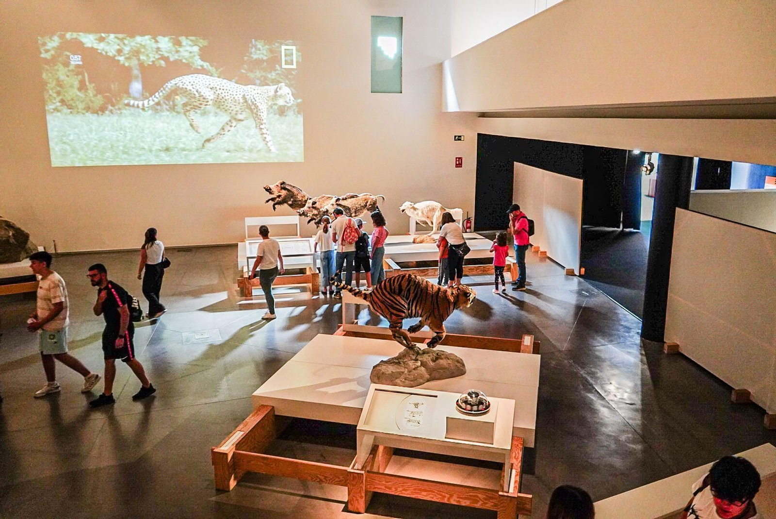 La Feria de la Ciencia de Granada, en imágenes