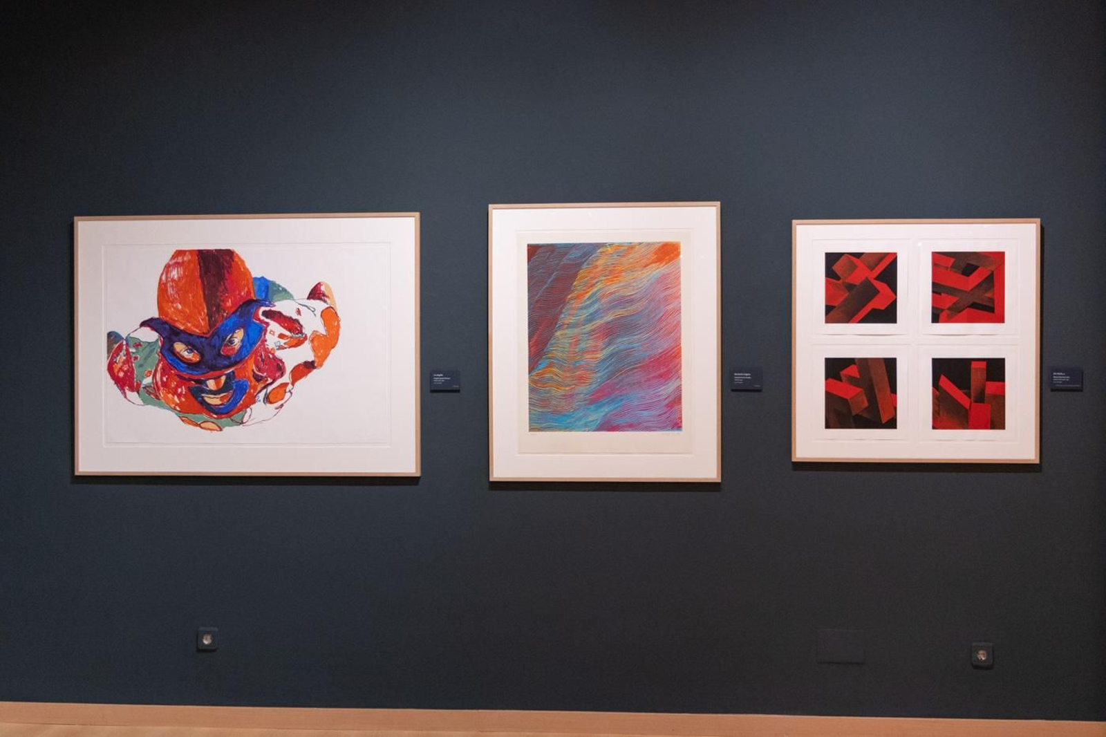 Inauguración de la nueva sala de exposiciones permanentes del Museo de Jaén con la colección de arte gráfico