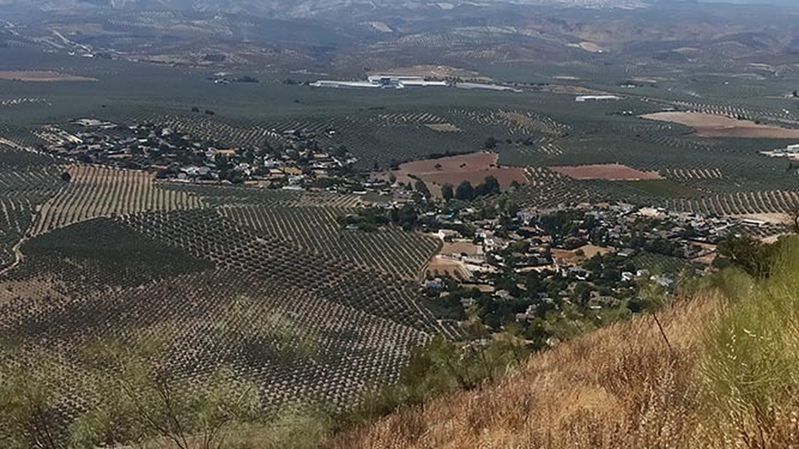 Vista aérea de Campo de Aras, en Lucena.