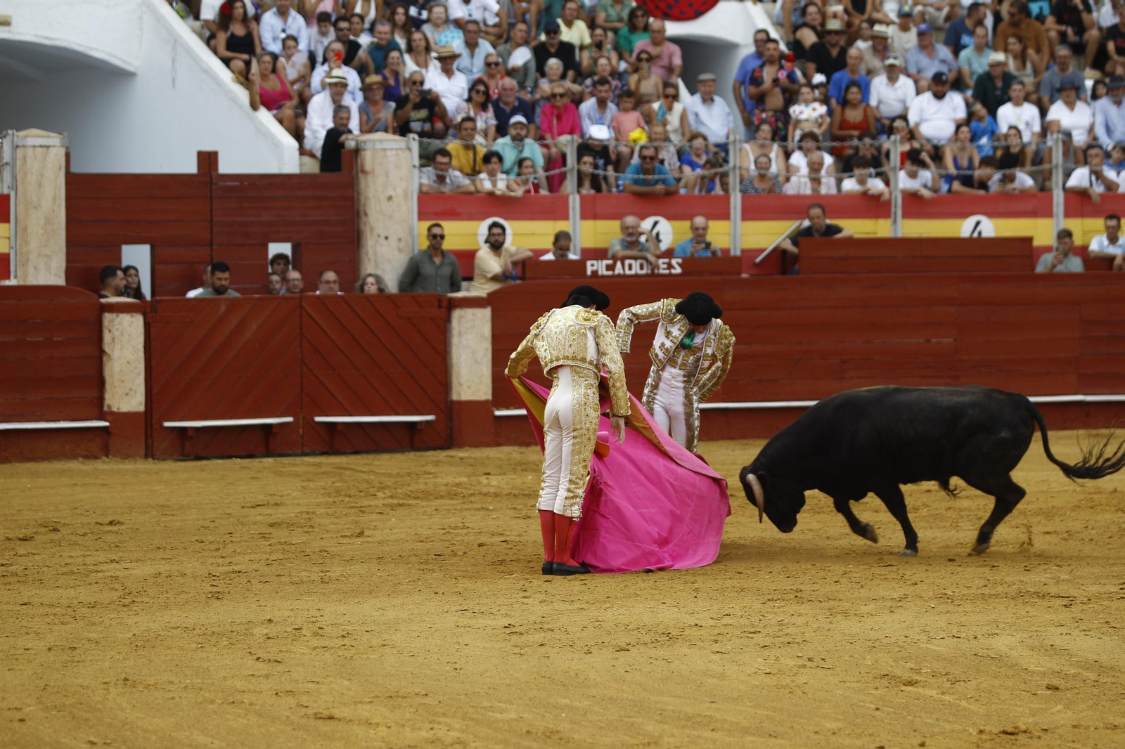 Las mejores imágenes de la clase práctica de la Escuela Municipal Taurina de Almería