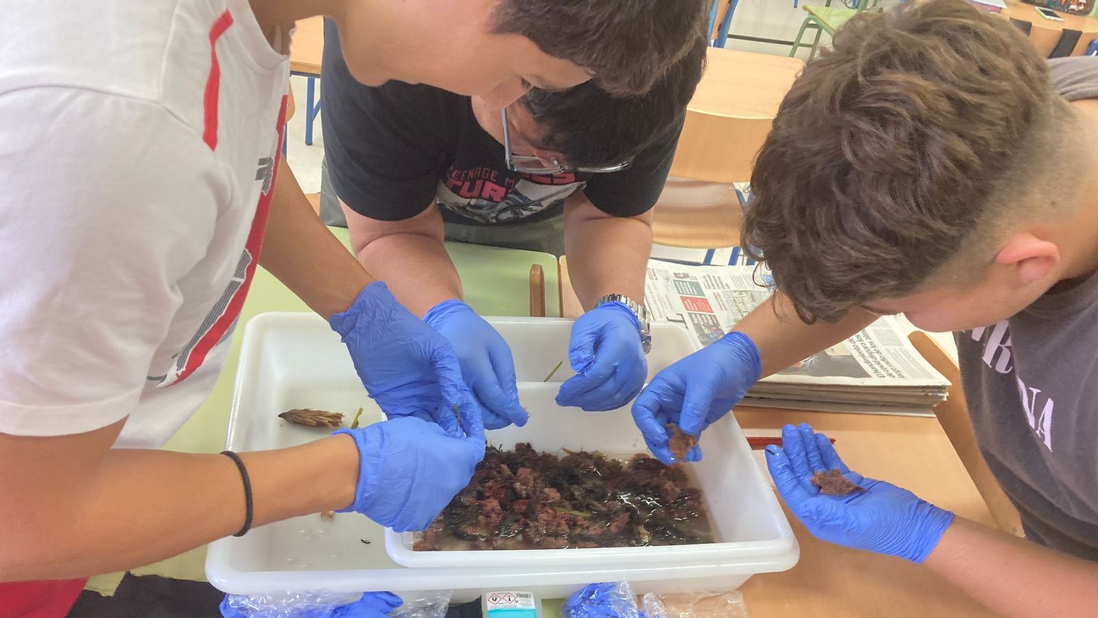 Los alumnos realizan prácticas guiados por los científicos, quienes enseñan de una forma lúdica y divertida sus avances y hallazgos en las investigaciones