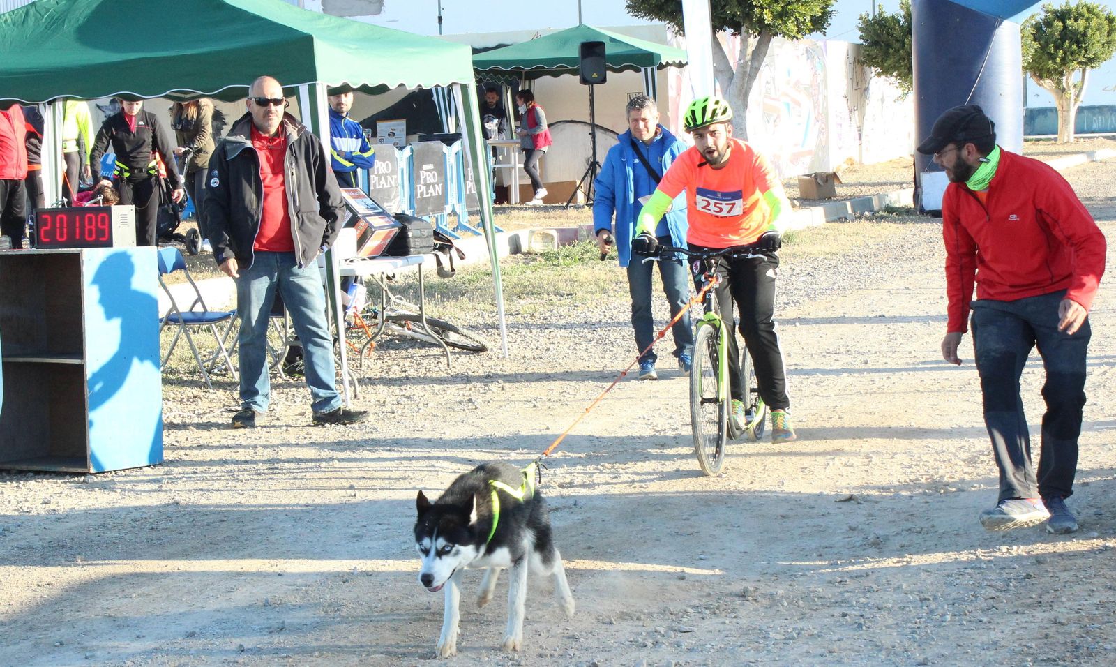 Uno de los perros participantes con su propietario.