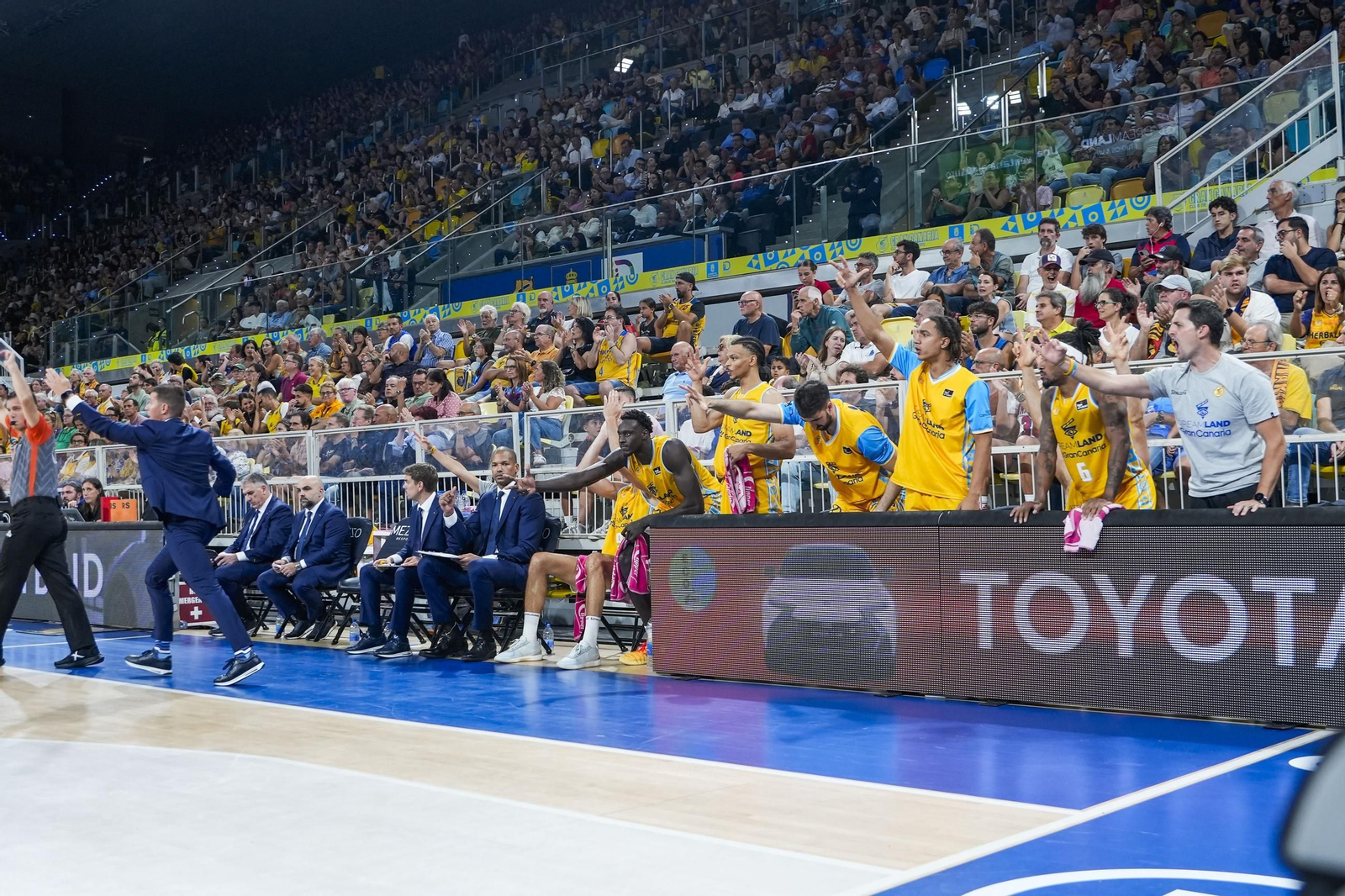 Búscate en las gradas del Gran Canaria-Unicaja