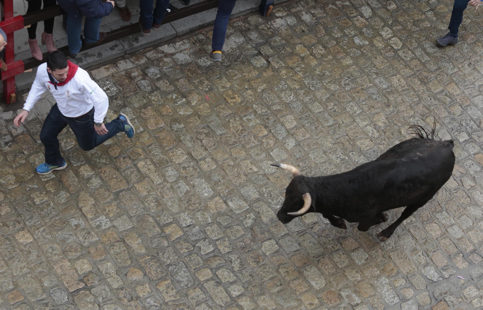 Las imágenes del encierro en La Puebla del Río