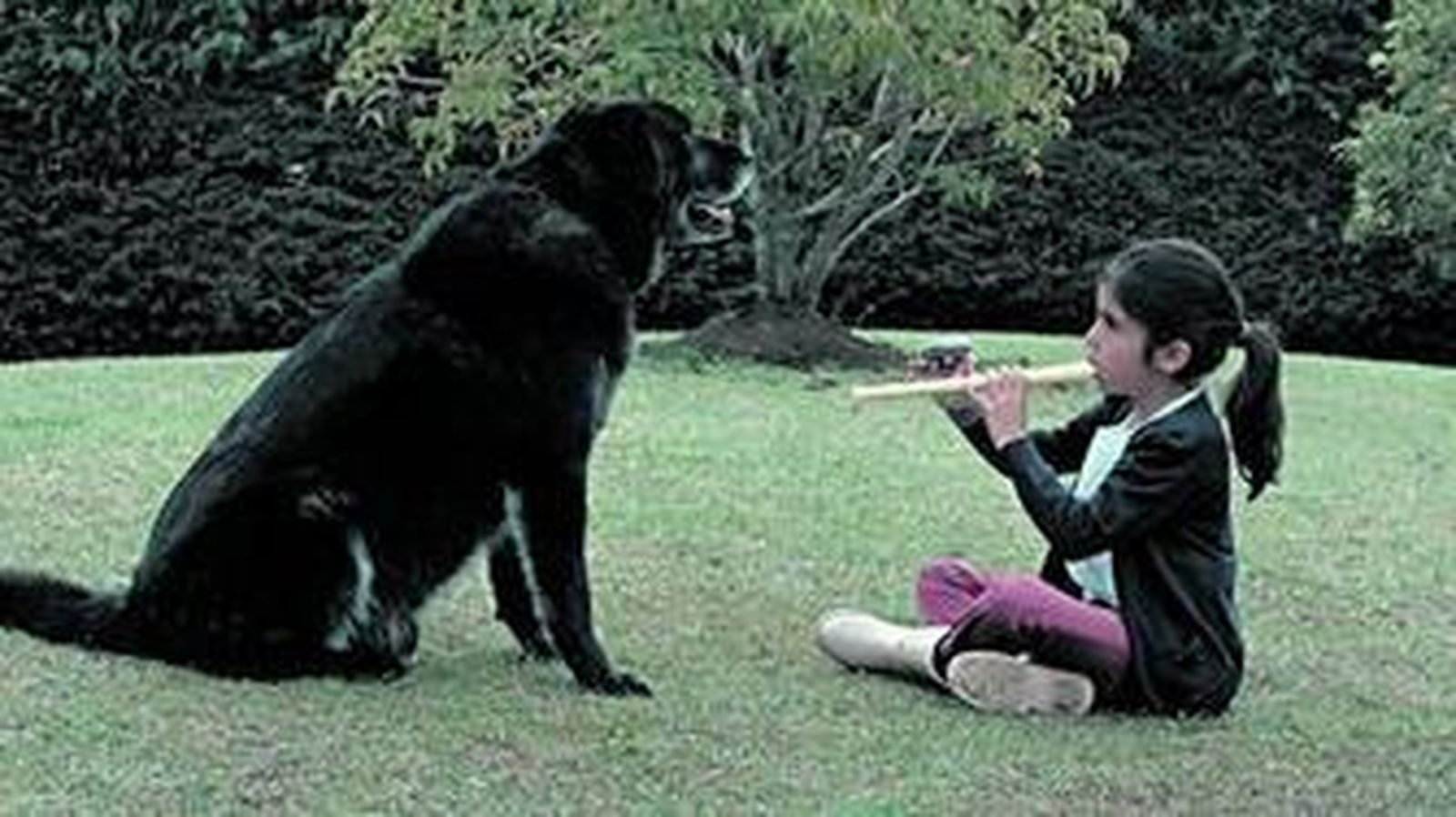 Una escena de 'Mamá', de Philippe van Hissenhoven.