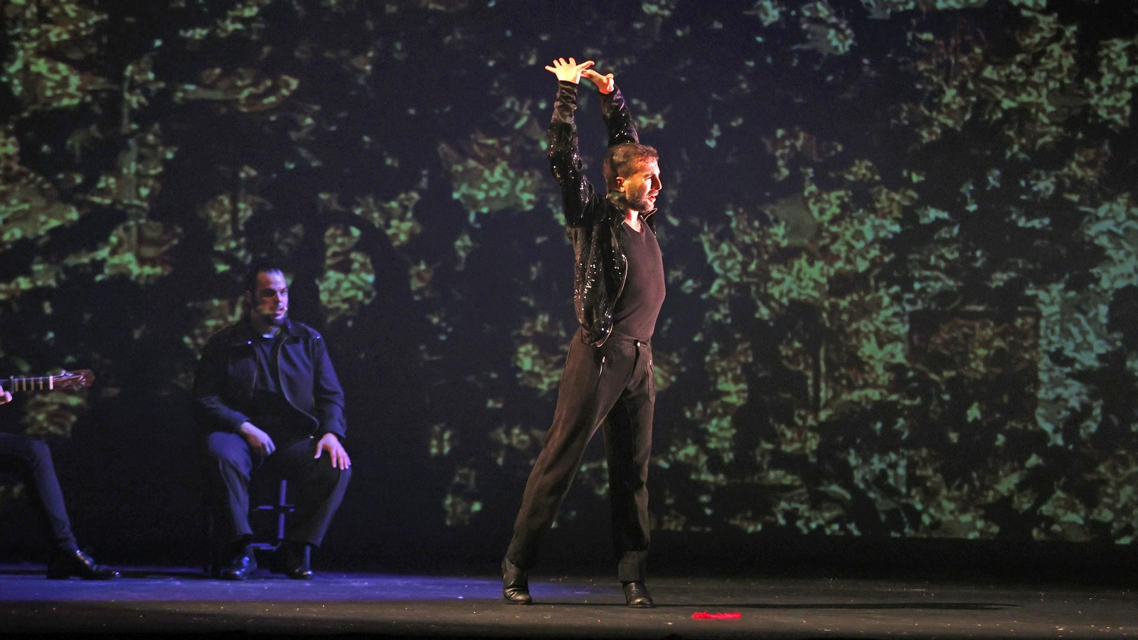 Compañía Marco Flores con 'Tierra virgen' en el Festival de Jerez 2025