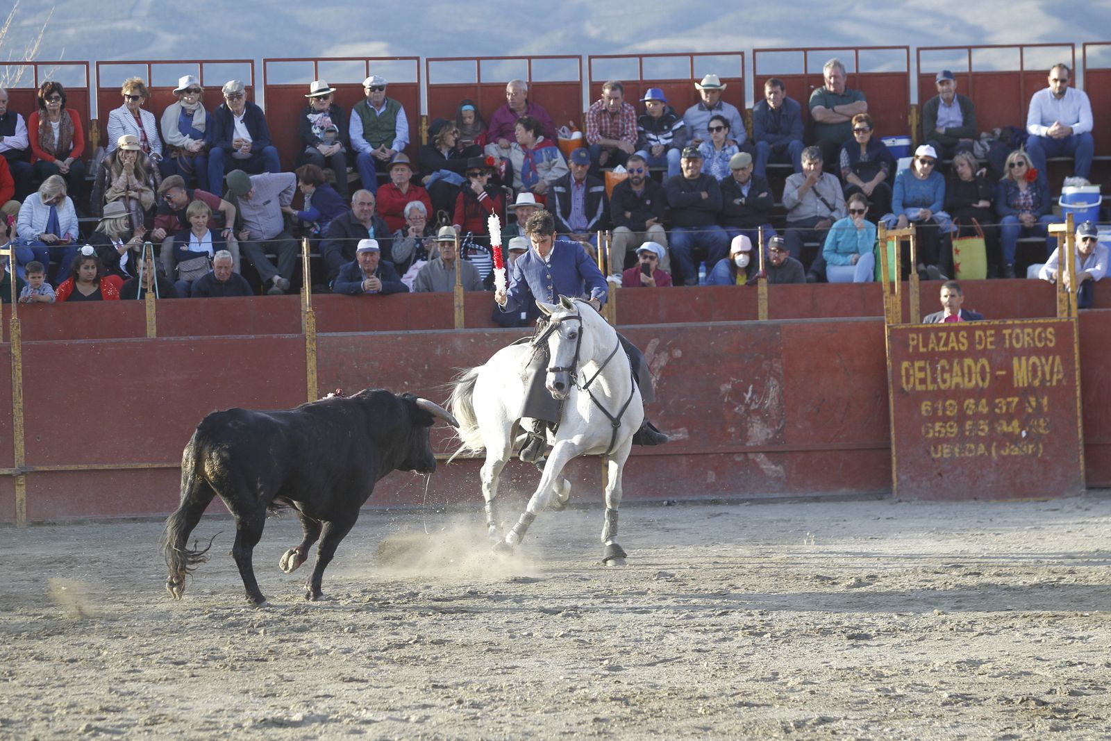 Fotogalería Festival Taurino Mixto. Fiestas de Abrucena.