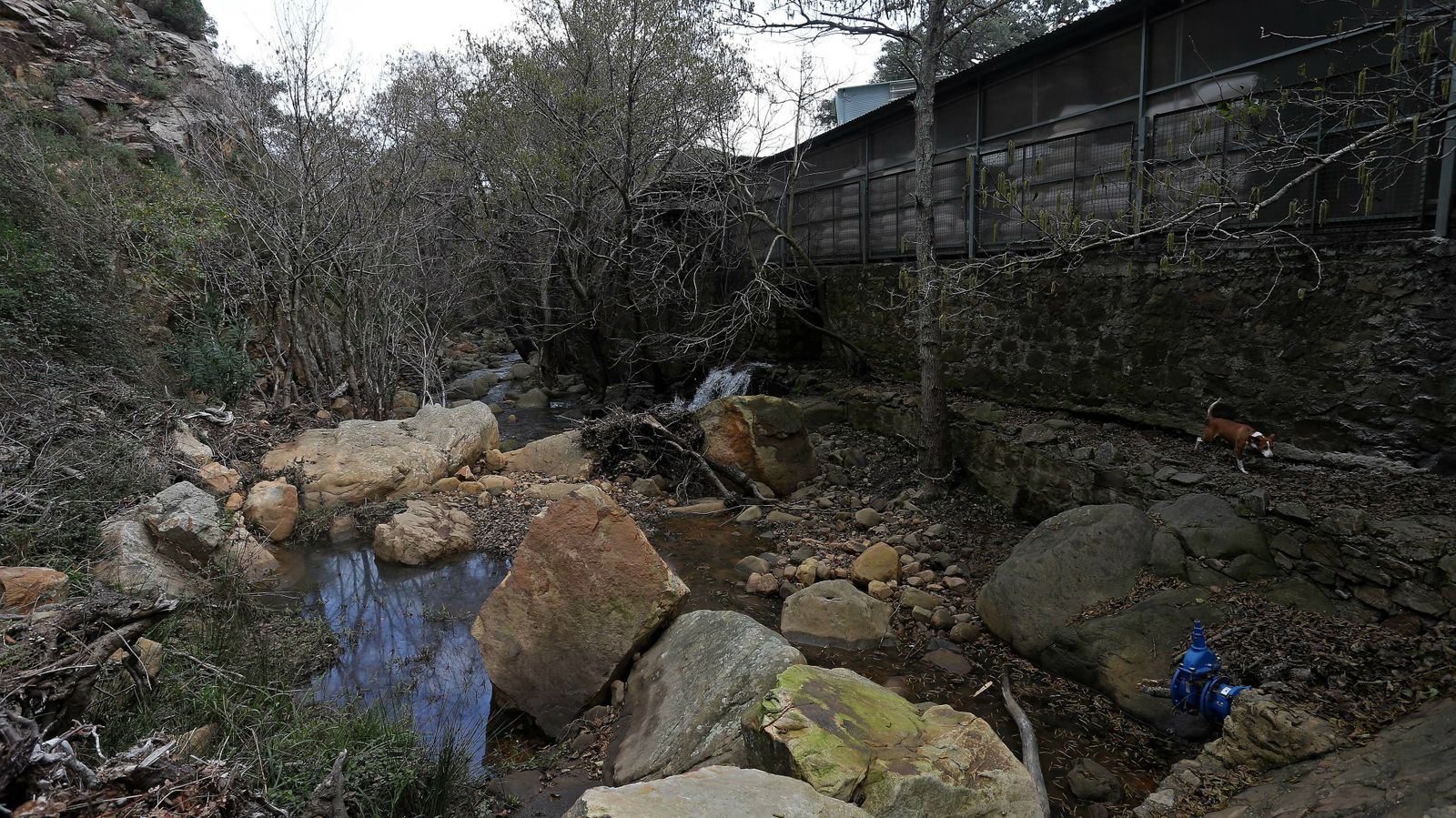 Las mejores fotos del sendero del Río de la Miel
