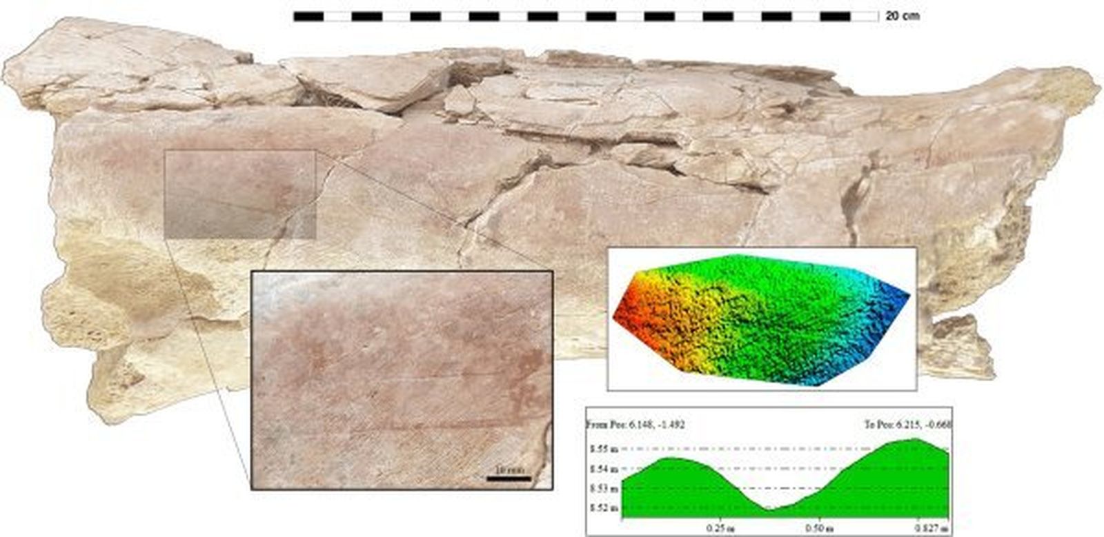 Una marca de corte sobre un fémur de hipopótamo. Incluye la reconstrucción virtual 3D de dicha marca" (Yravedra et al., 2021).
