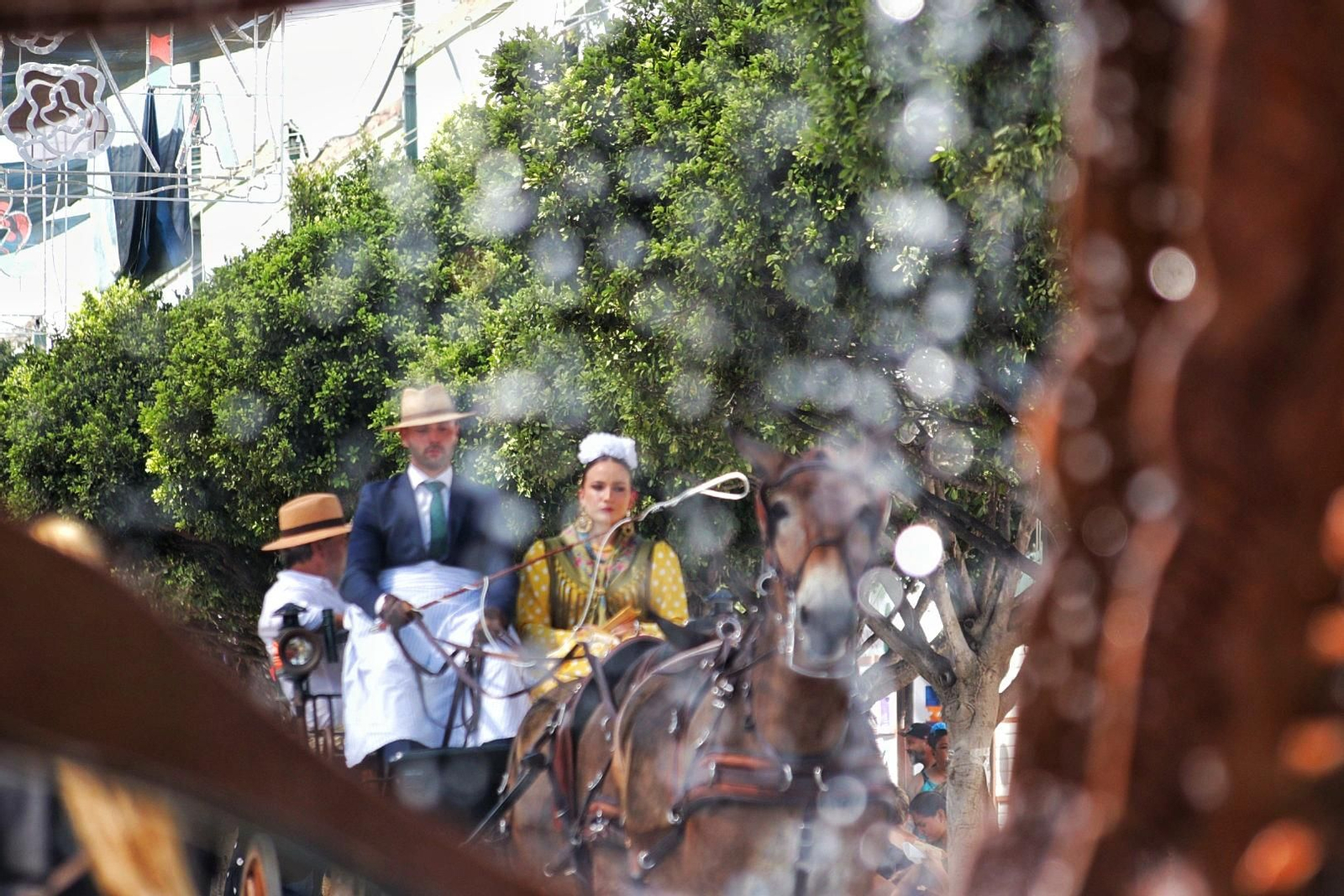 El estreno de la Feria de Málaga en el Real, en imágenes