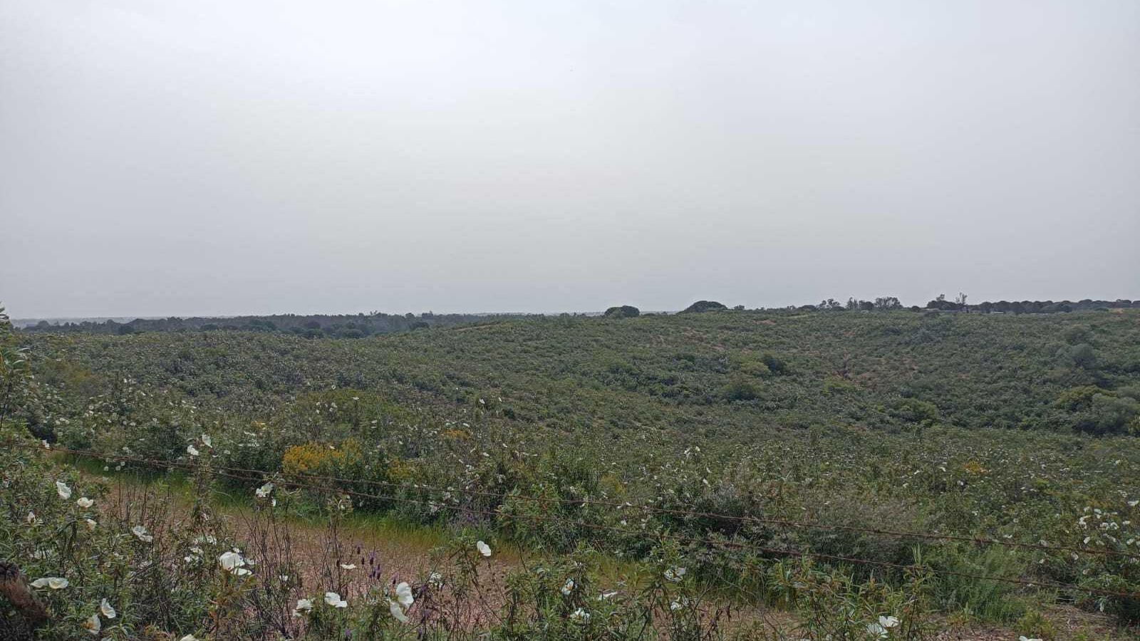 En este tramo hay puntos más elevados desde los que ver el paisaje.