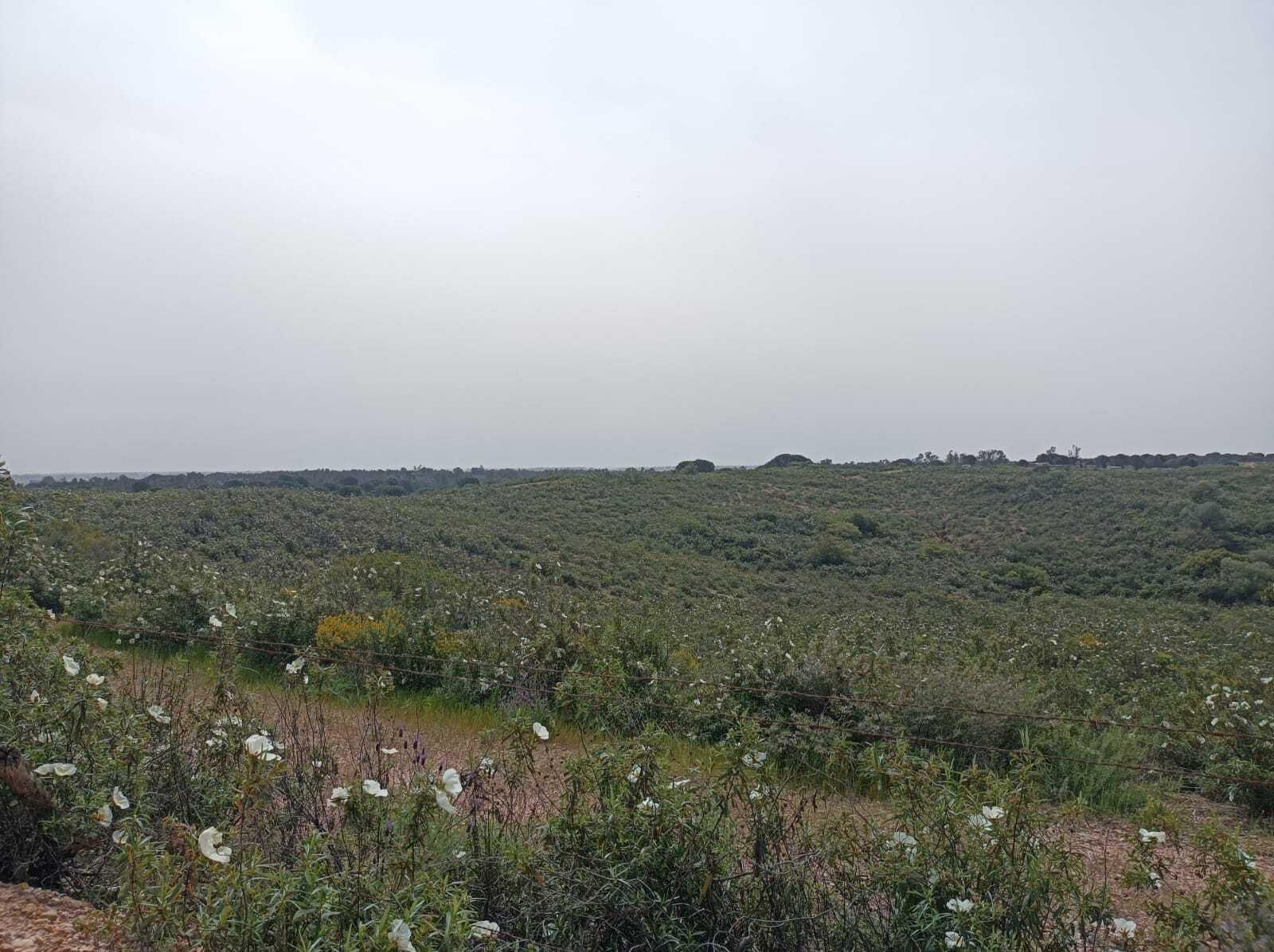 En este tramo hay puntos más elevados desde los que ver el paisaje.