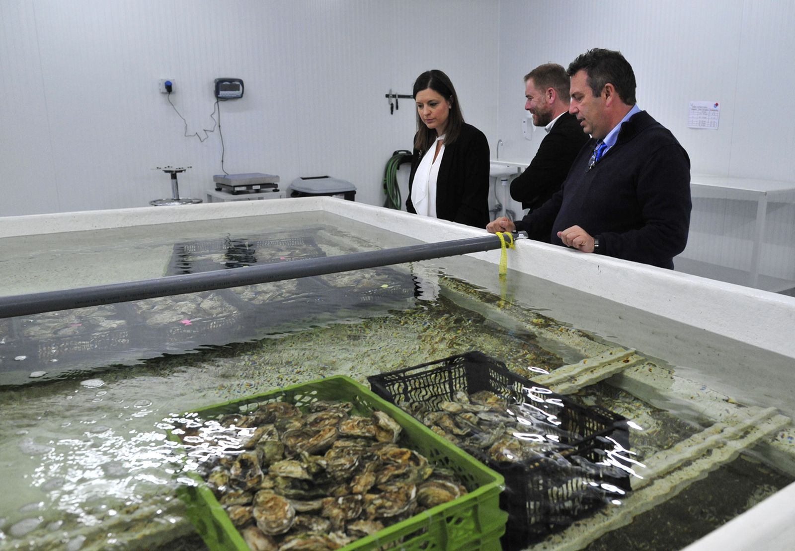 Manuel Pardavila, gerente de Esteros Andaluces SL, explica en funcionamiento de las instalaciones a Patricia Cavada y Conrado Rodríguez.