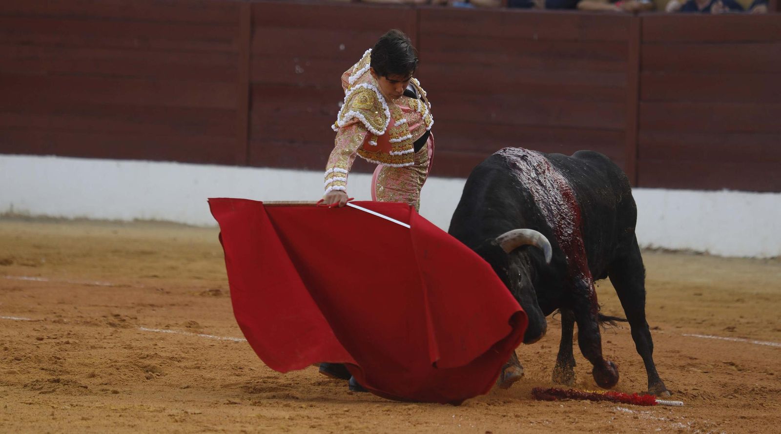 Fotos del triunfo de Manuel Roman y Javier Zulueta con la buena novillada de Núñez de Tarifa que abrió la Feria de La Línea