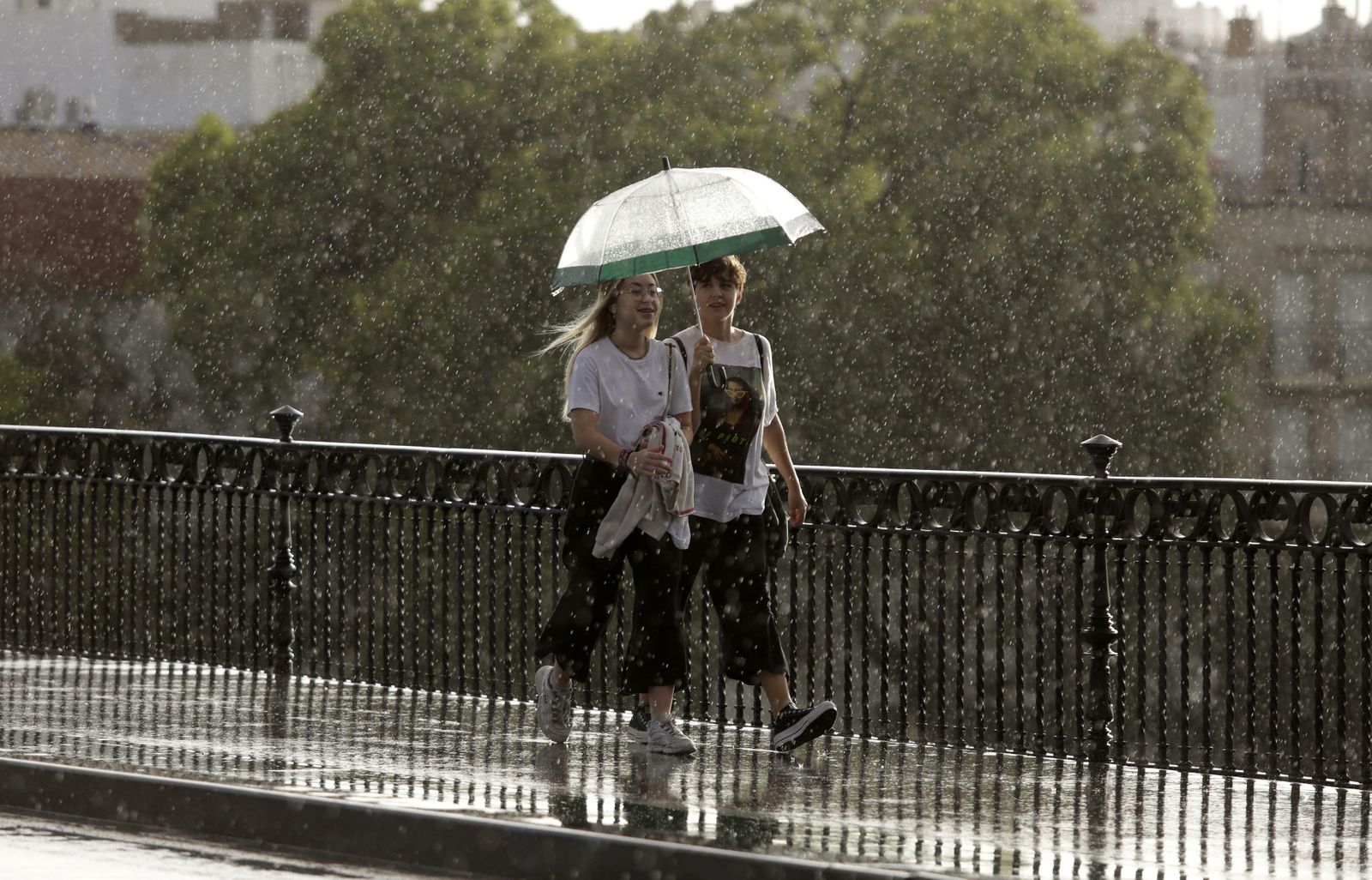 Las imágenes de la lluvia en Sevilla