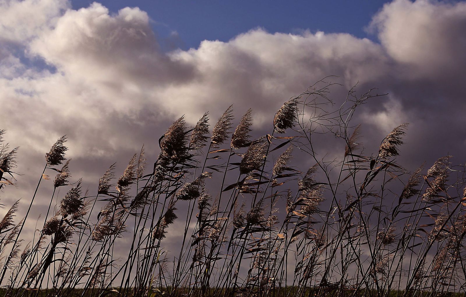 Las fotografías del lunes tarde en Huelva