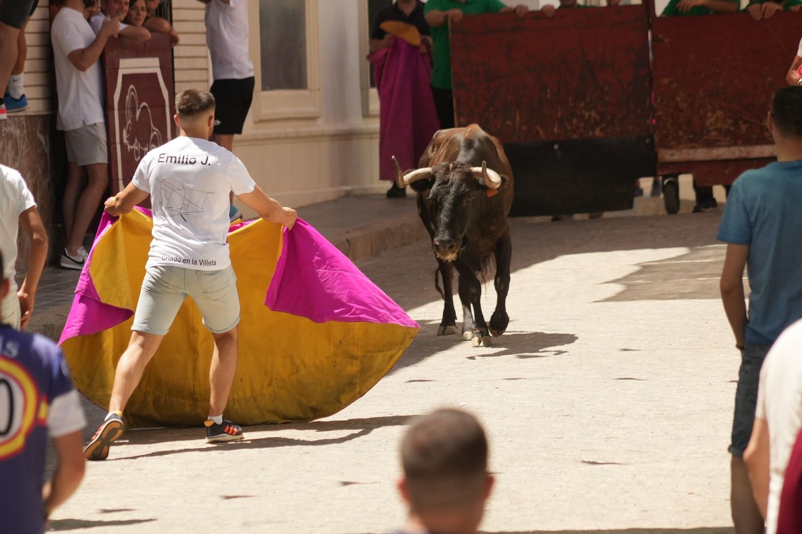 El encierro de vaquillas por Santa Ana El Viso, en imágenes