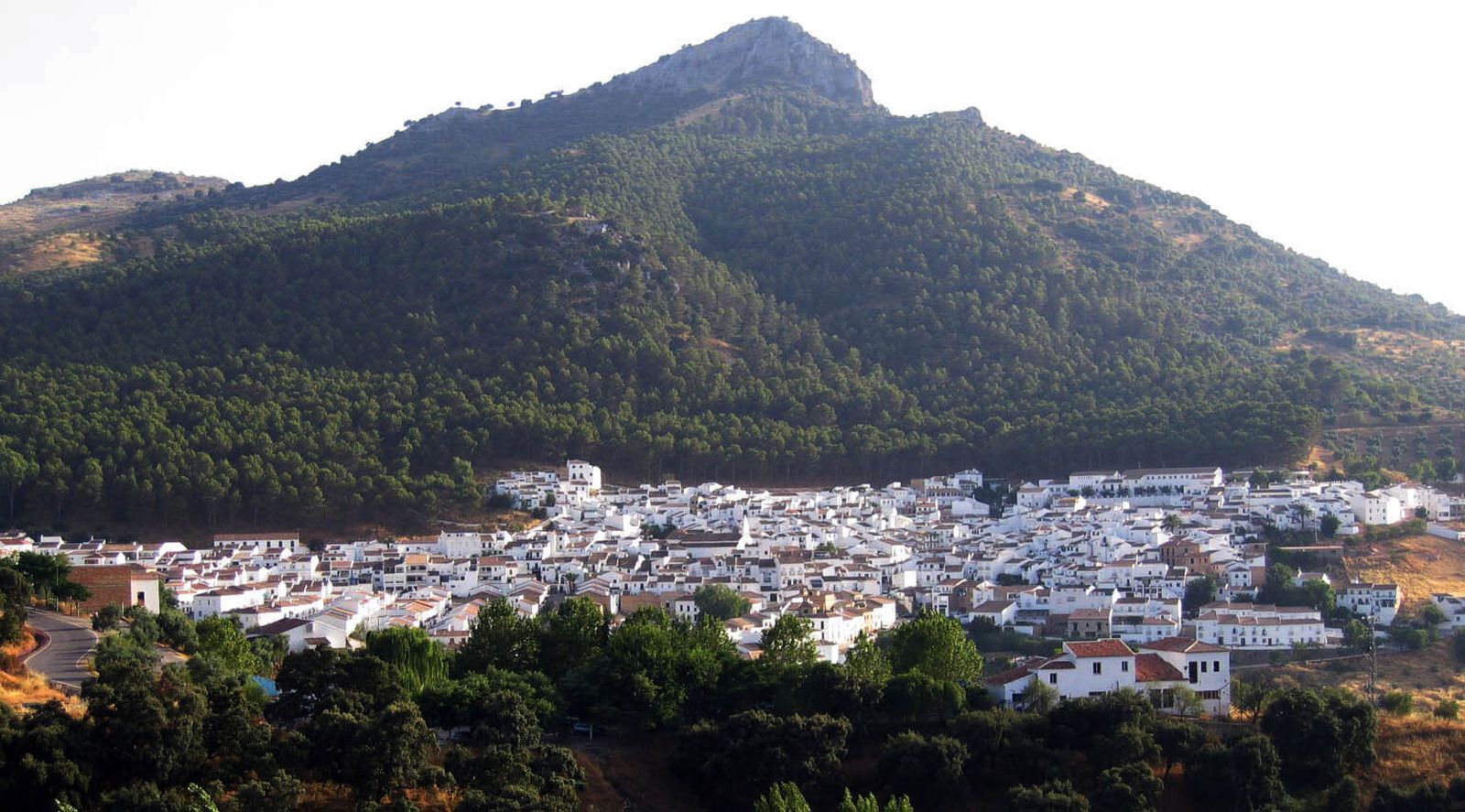 Imagen general de El Gastor